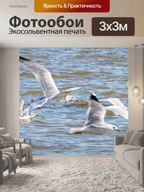 Фотообои Окрашенные Чайки