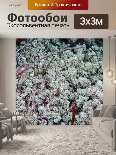 Фотообои Мох