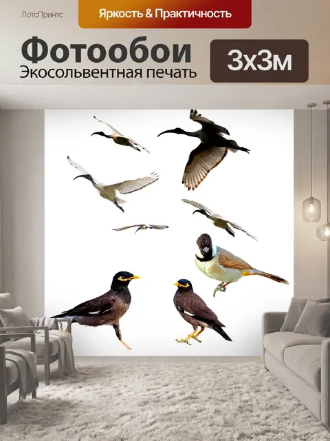 Фотообои Птицы