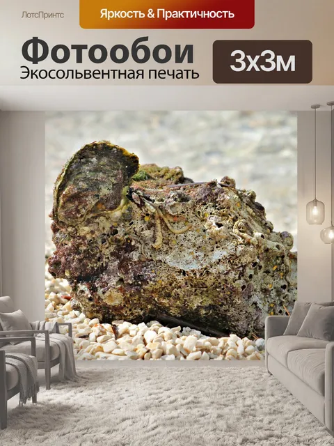 Фотообои Пляж