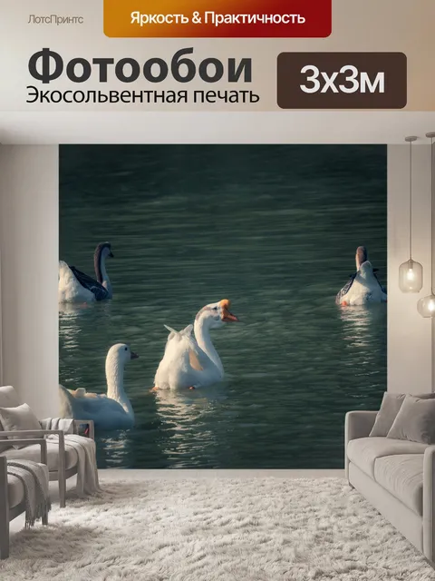 Фотообои Гуси