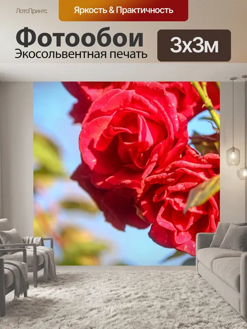 Фотообои Розы