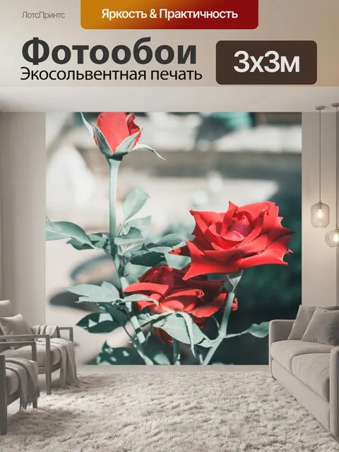 Фотообои Розы