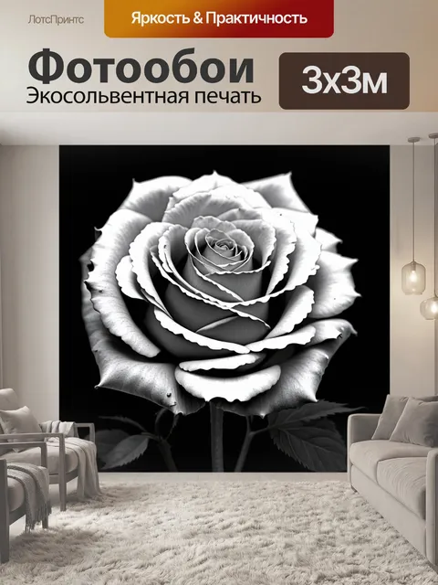 Фотообои розы в стиле черно-белый, с композицией, которая создает контраст между крупным и мелким планом