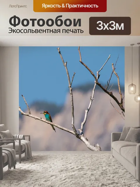 Фотообои Золотистая щурка