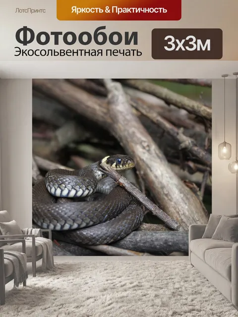 Фотообои Линия