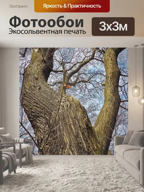 Фотообои Деревья