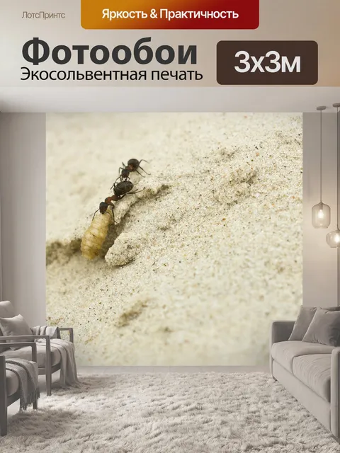 Фотообои Муравьи