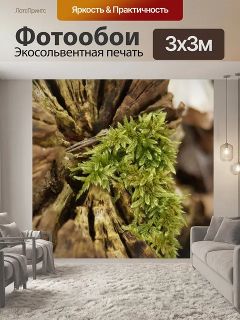 Фотообои Мох