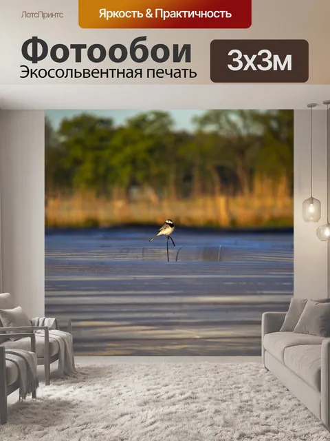 Фотообои Птица