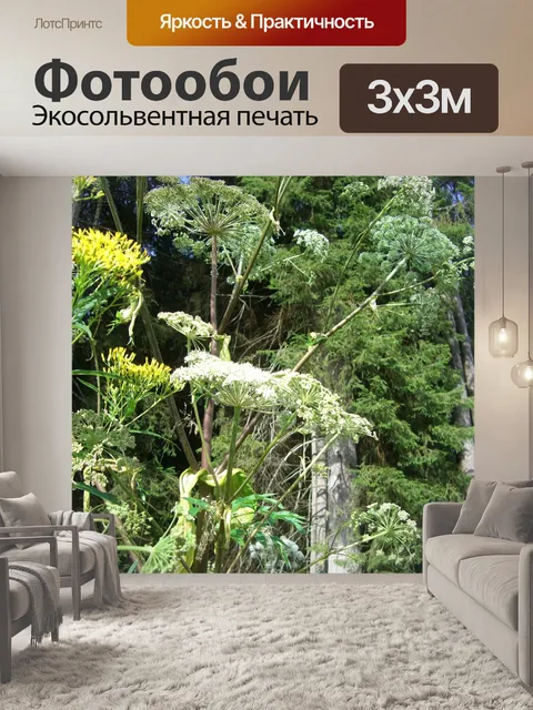 Фотообои Гигантский борщевик
