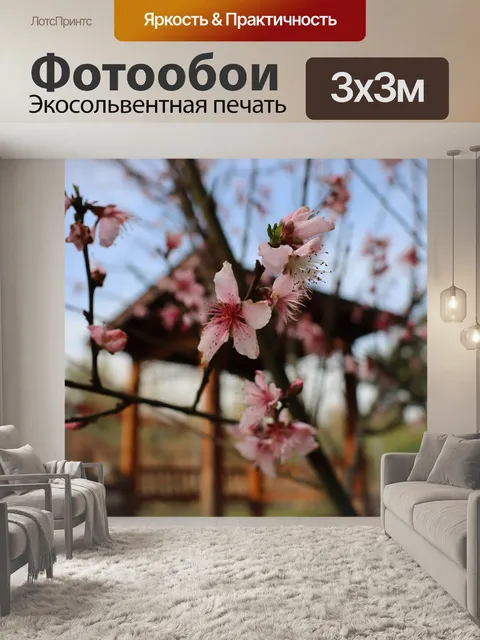 Фотообои Цветы