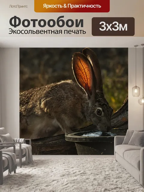 Фотообои Джек кролик