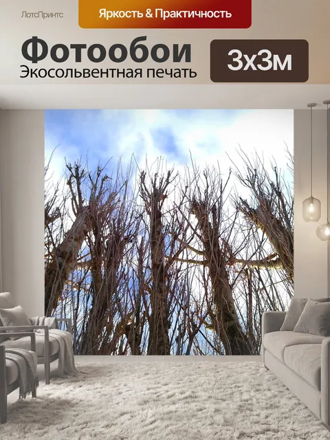 Фотообои Природа