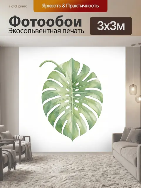 Фотообои Тропический лист монстеры