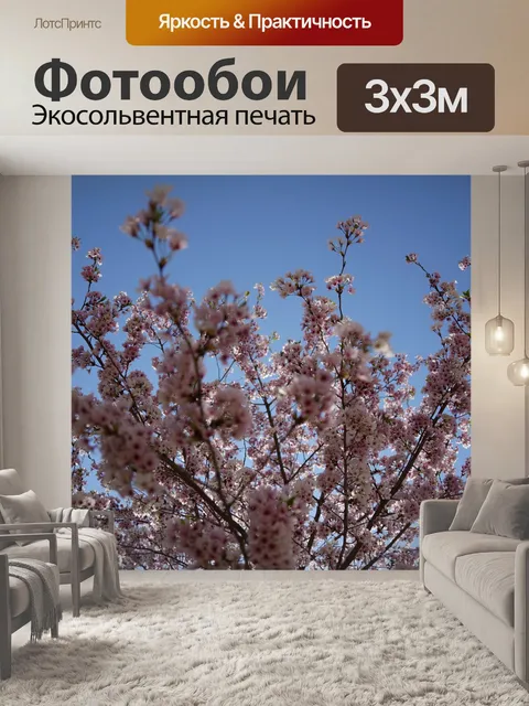 Фотообои Цветение вишни