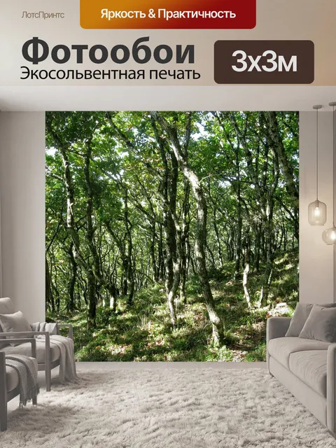 Фотообои Лесной массив