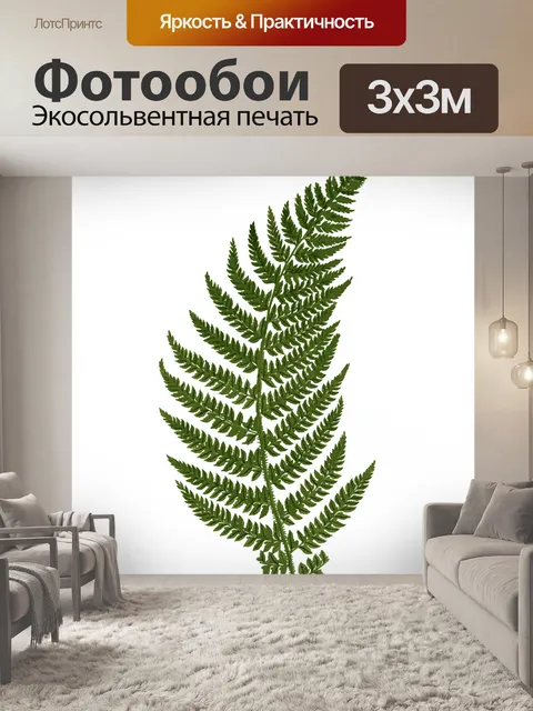 Фотообои Иллюстрация листьев папоротника