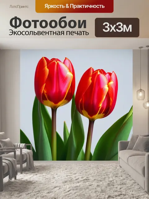 Фотообои тюльпаны в минималистичном стиле