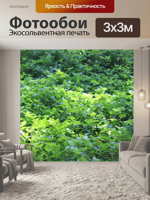 Фотообои Зеленый фон с листьями