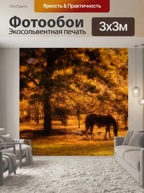 Фотообои Лошадь