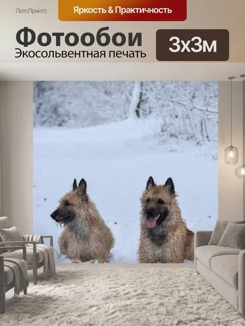 Фотообои Снег