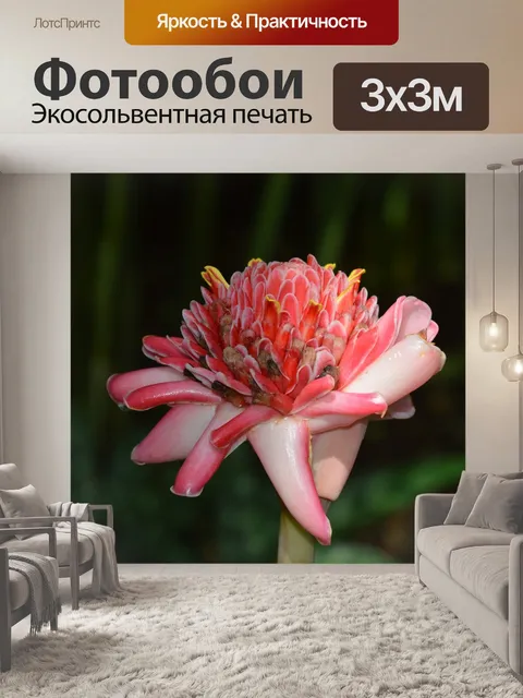 Фотообои Цветы