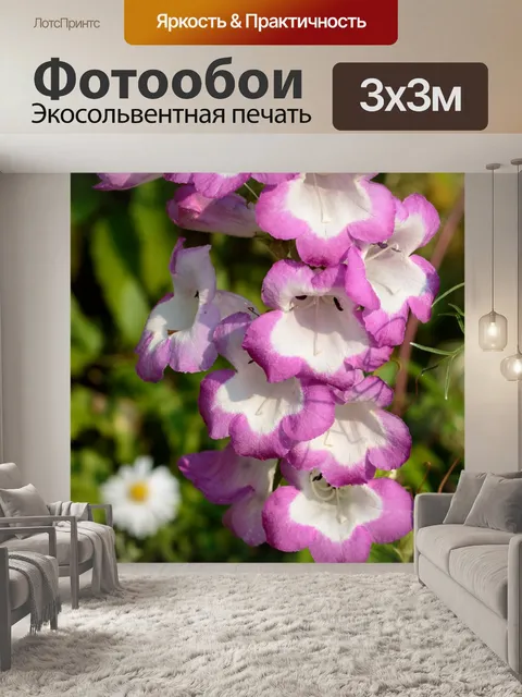 Фотообои Цветы Фиолетовый