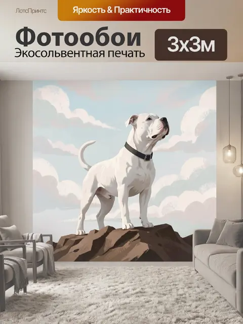 Фотообои Белый пес на скалах