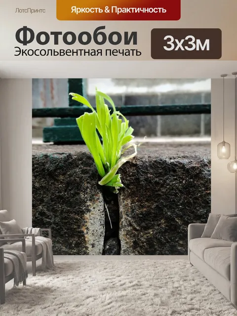 Фотообои Пачкаться