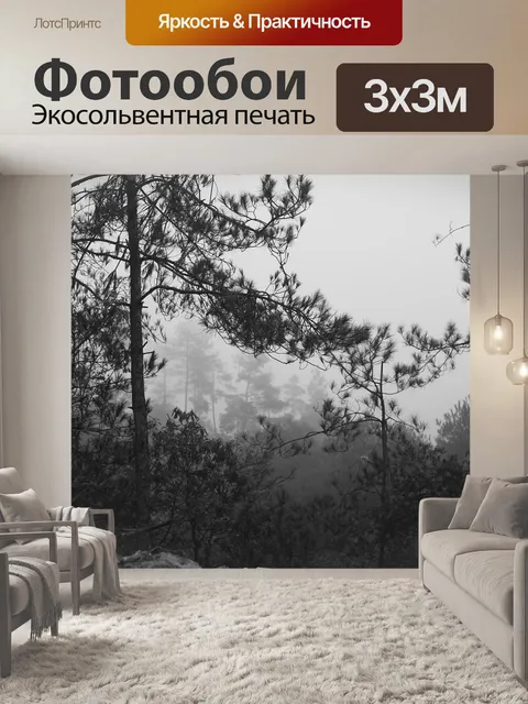 Фотообои Черно белое изображение