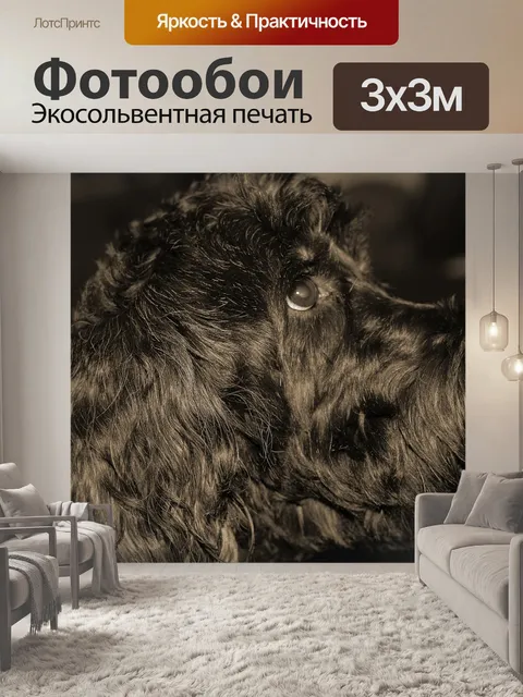 Фотообои Собака