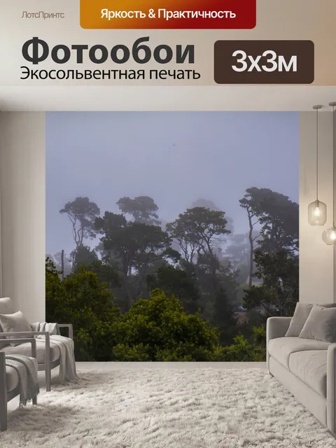 Фотообои Монтерей Пайнс в Туманном банке