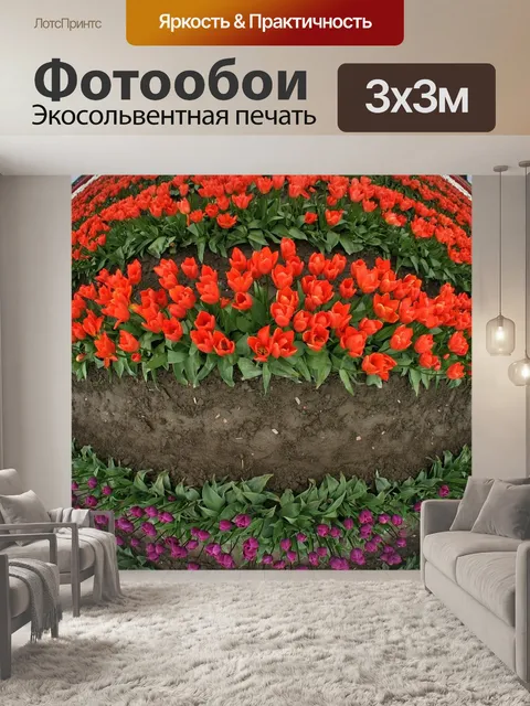 Фотообои Тюльпаны
