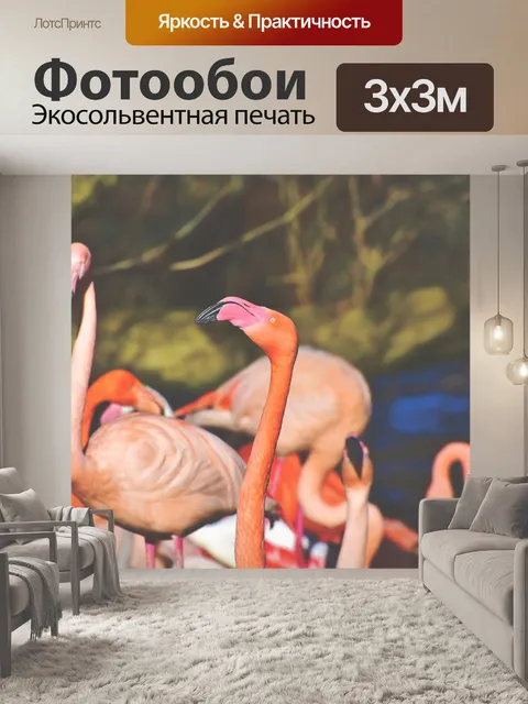 Фотообои Фламинго