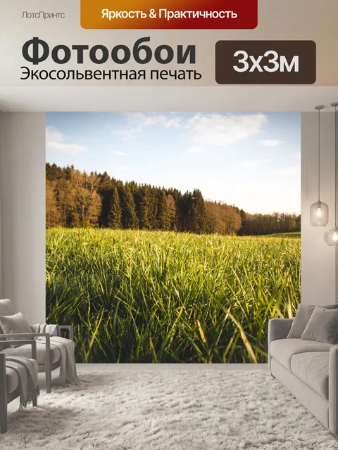 Фотообои Лес