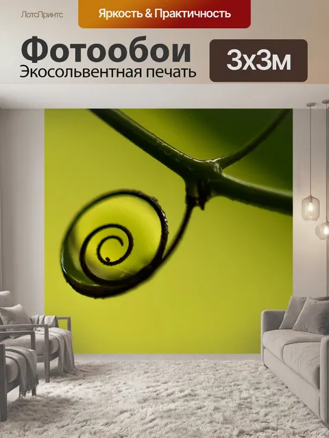 Фотообои Природный спираль