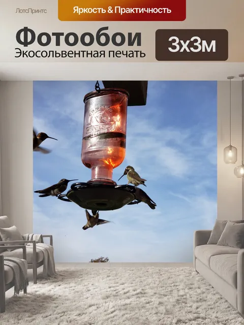 Фотообои Колибри кормятся в зимний день