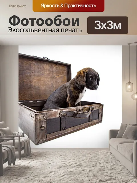 Фотообои Щенок с чемоданом