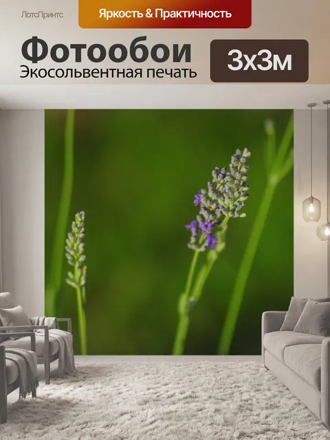 Фотообои Лаванда