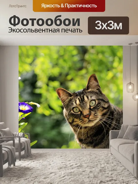Фотообои Кошка