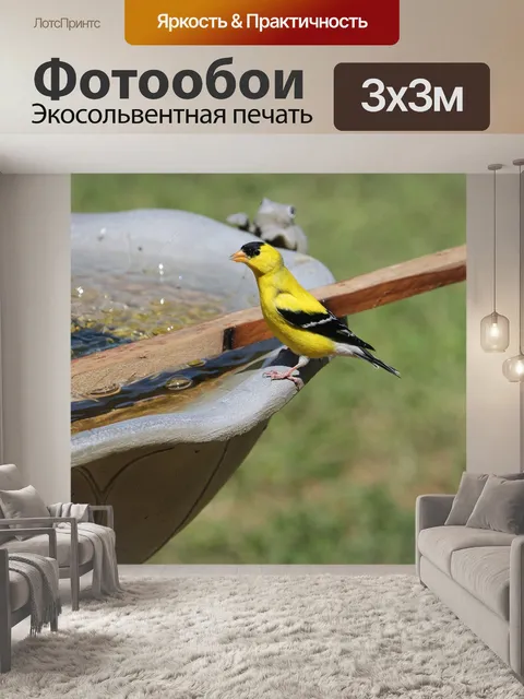 Фотообои Птица