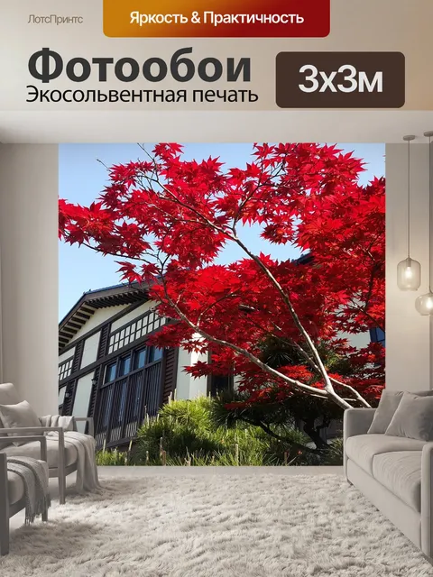 Фотообои Дерево