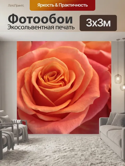 Фотообои Роза