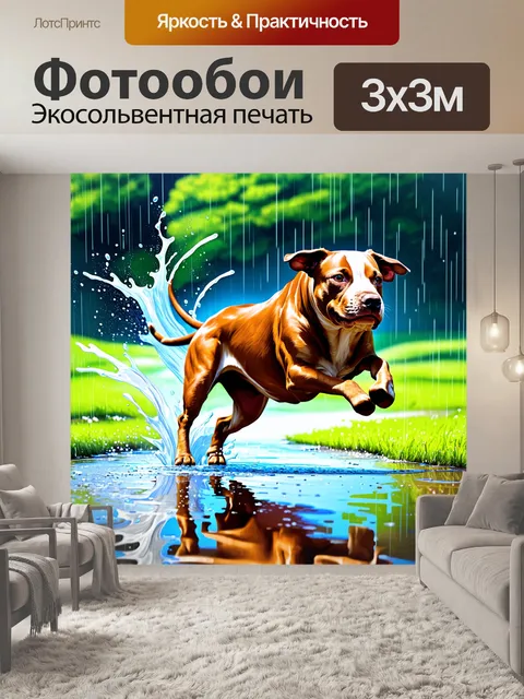 Фотообои бурбуль, прыгающий через лужу после дождя, капли воды брызгают в воздух