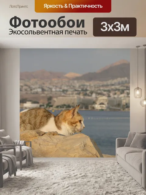 Фотообои Бродячая кошка