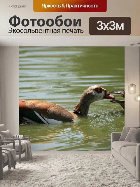Фотообои Египетские гуси