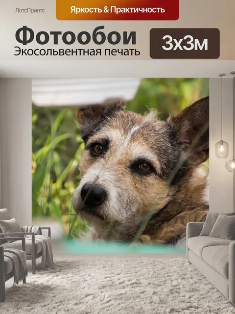 Фотообои Природа