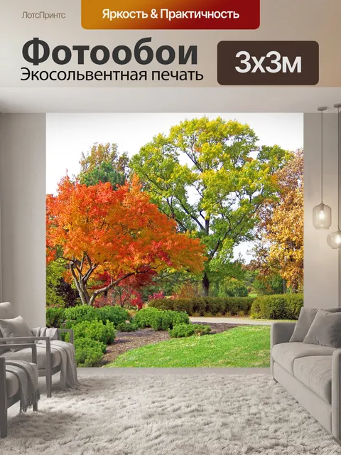 Фотообои Осень Деревья в парке