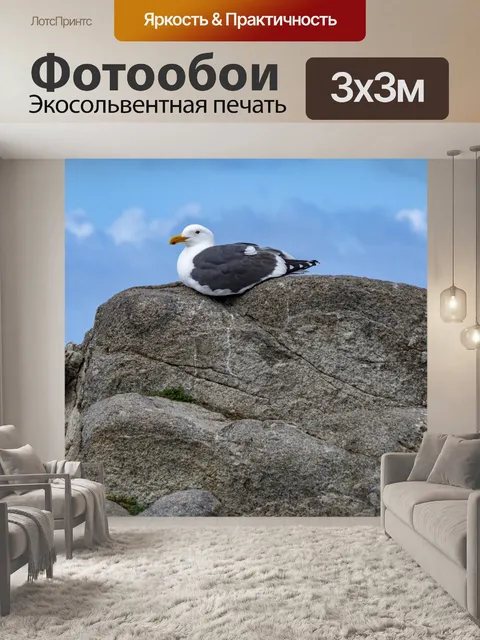 Фотообои чайка
